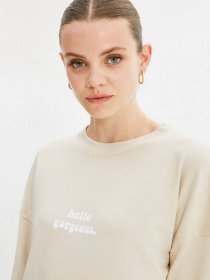 Худи и свитшоты Trendyol модель TCTSS21SW0339/Bej Фото