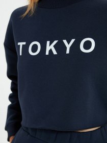 Худи и свитшоты Trendyol модель TWOAW22SW0895/Lacivert Фото