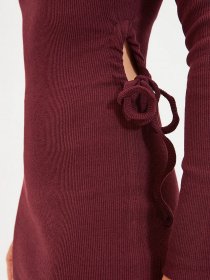Сукні Trendyol модель TWOAW22EL0887/Bordo Фото