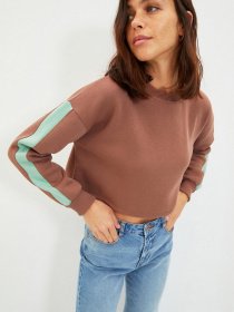 Худи и свитшоты Trendyol модель TWOAW22SW1120/Kahverengi Фото