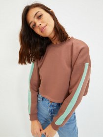 Худи и свитшоты Trendyol модель TWOAW22SW1120/Kahverengi Фото
