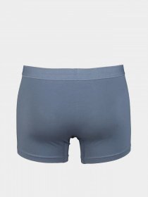 Нижнее белье Trendyol модель TMNAW23BX00006/Lacivert Фото