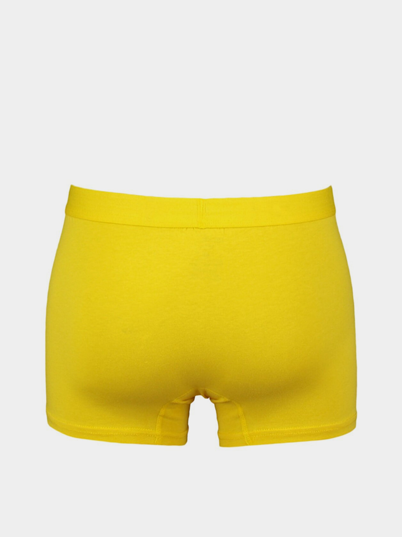 Нижнее белье Trendyol модель TMNAW23BX00030/Cok Renkli Нижнее белье Trendyol модель TMNAW23BX00030/Cok Renkli Фото
