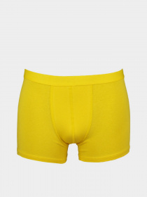 Нижнее белье Trendyol модель TMNAW23BX00030/Cok Renkli Фото