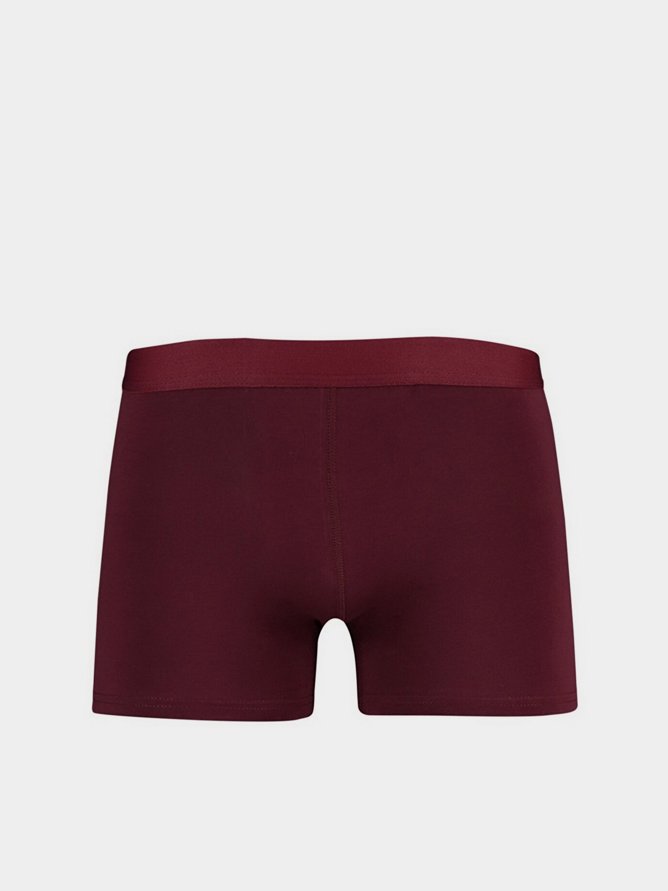 Нижнее белье Trendyol модель TMNAW23BX00024/Cok Renkli Фото