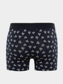 Нижнее белье Trendyol модель TMNAW23BX00014/Cok Renkli Фото