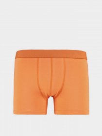 Нижня білизна Trendyol модель TMNAW23BX00013/Cok Renkli Фото