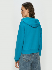 Худі та світшоти Vans Kaye Crop Hoodie модель VN0A4S9P4AW1 Фото