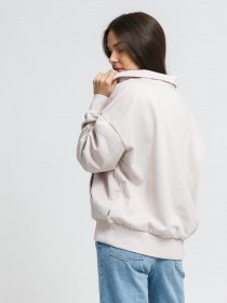 Худи и свитшоты Vans Flying V FT модель VN0A5ETU9P11 Фото