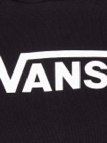 Худи и свитшоты Vans Flying V FT Boxy модель VN0A4BG3BLK1 Фото