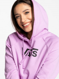 Худі та світшоти Vans Flying V FT Boxy модель VN0A4BG30FS1 Фото