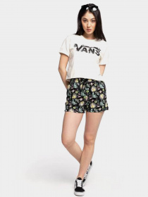 Футболки и поло Vans Blozzom Roll Out модель VN0A53Q2FS81 Фото