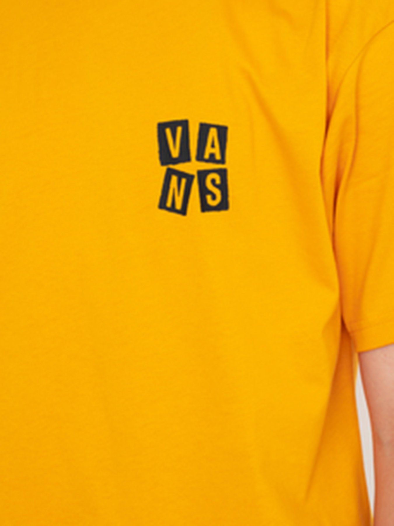 Футболки и поло Vans Crawling модель VN0A5KCGLSV1 Футболки и поло Vans Crawling модель VN0A5KCGLSV1 Фото