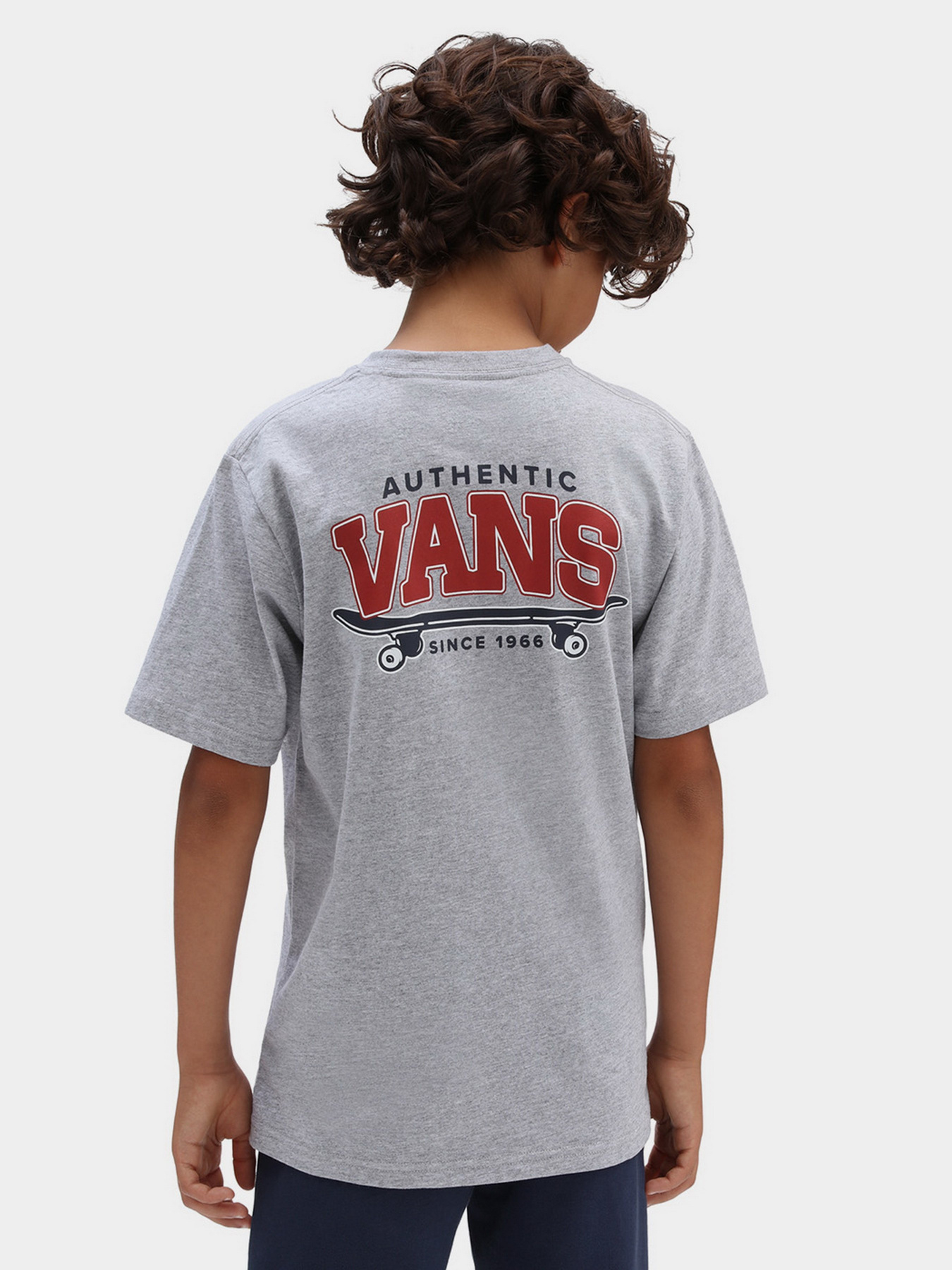 Футболки и поло Vans Sk8 Horizon Ss Athletic Heather модель VN0A7SI6ATH1 Фото