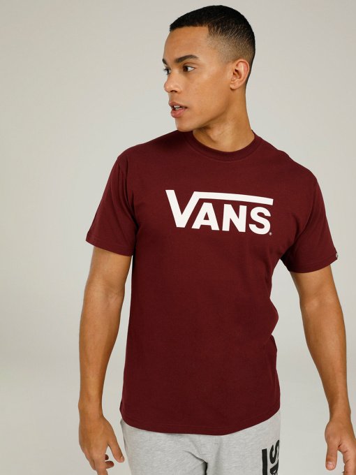 Футболки і поло Vans Drop V модель VN0A5HMHKG21 Фото