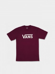 Футболки и поло Vans Drop V модель VN0A5HMHKG21 Фото