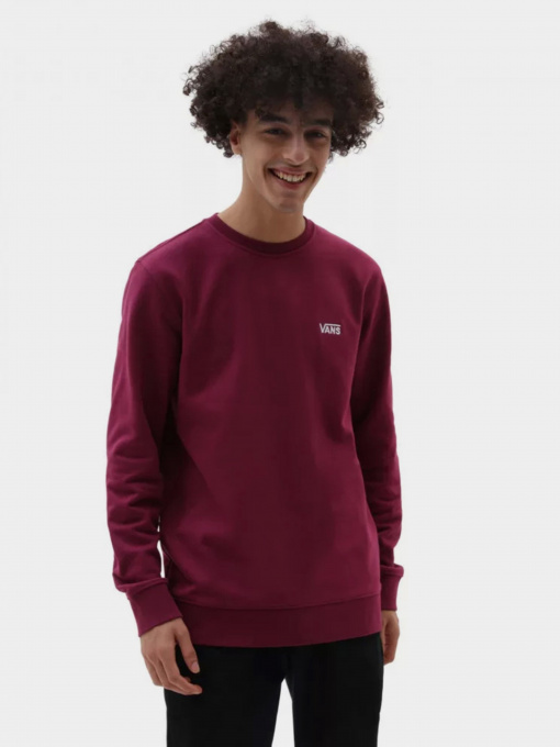 Худи и свитшоты Vans Core Basic Crew модель VN0A7YDUY7Y1 Фото