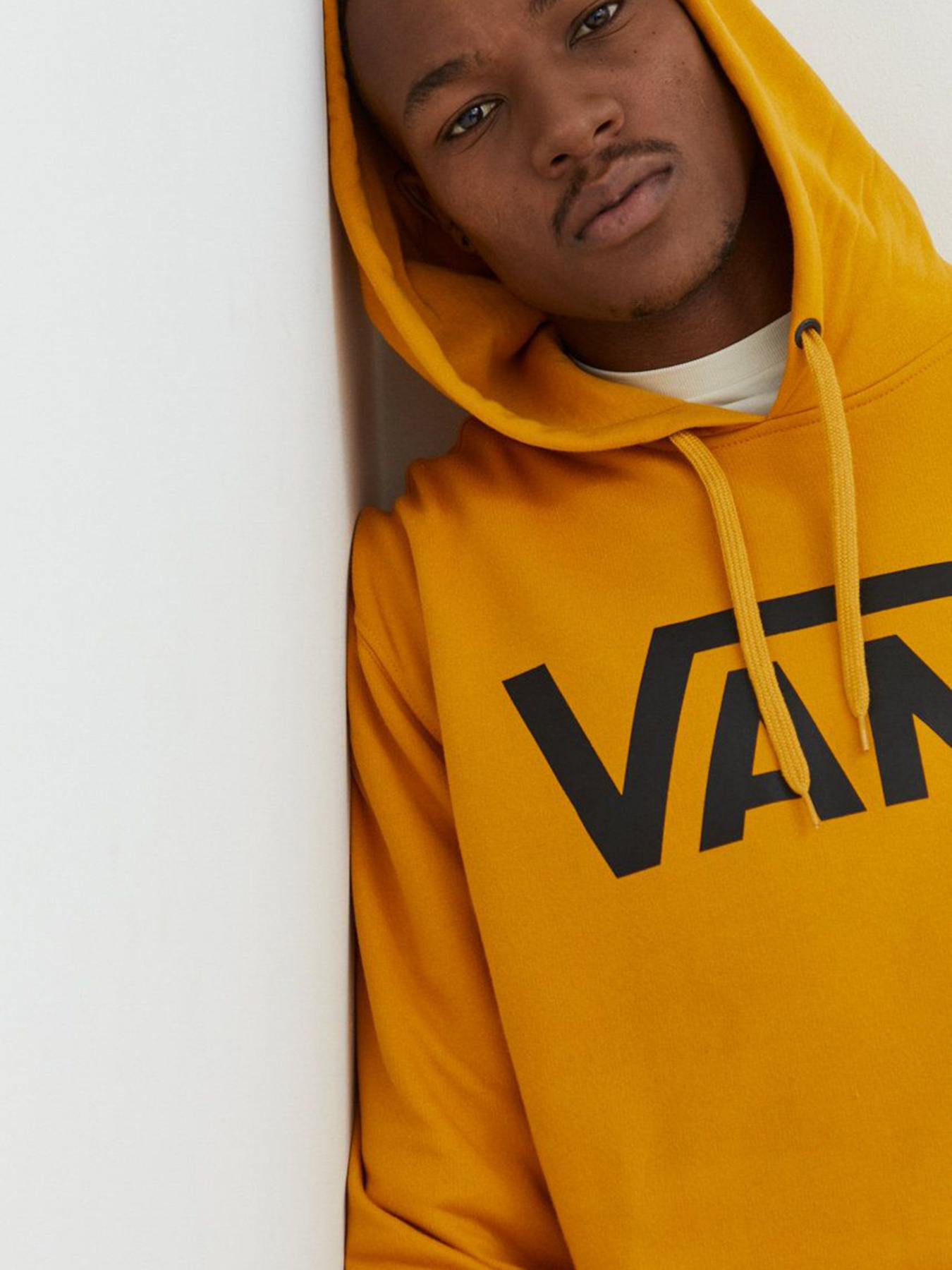 Худи и свитшоты Vans Classic Pullover II модель VN0A456BF3X1 Фото