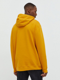 Худи и свитшоты Vans Classic Pullover II модель VN0A456BF3X1 Фото