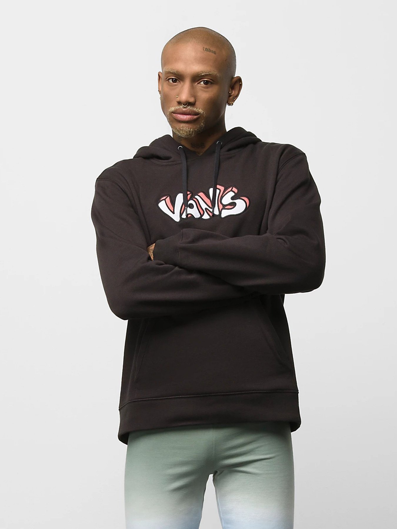 Худи и свитшоты Vans Skate Grpahic модель VN0A7S7JBLK1 Худи и свитшоты Vans Skate Grpahic модель VN0A7S7JBLK1 Фото