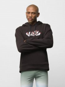 Худи и свитшоты Vans Skate Grpahic модель VN0A7S7JBLK1 Фото