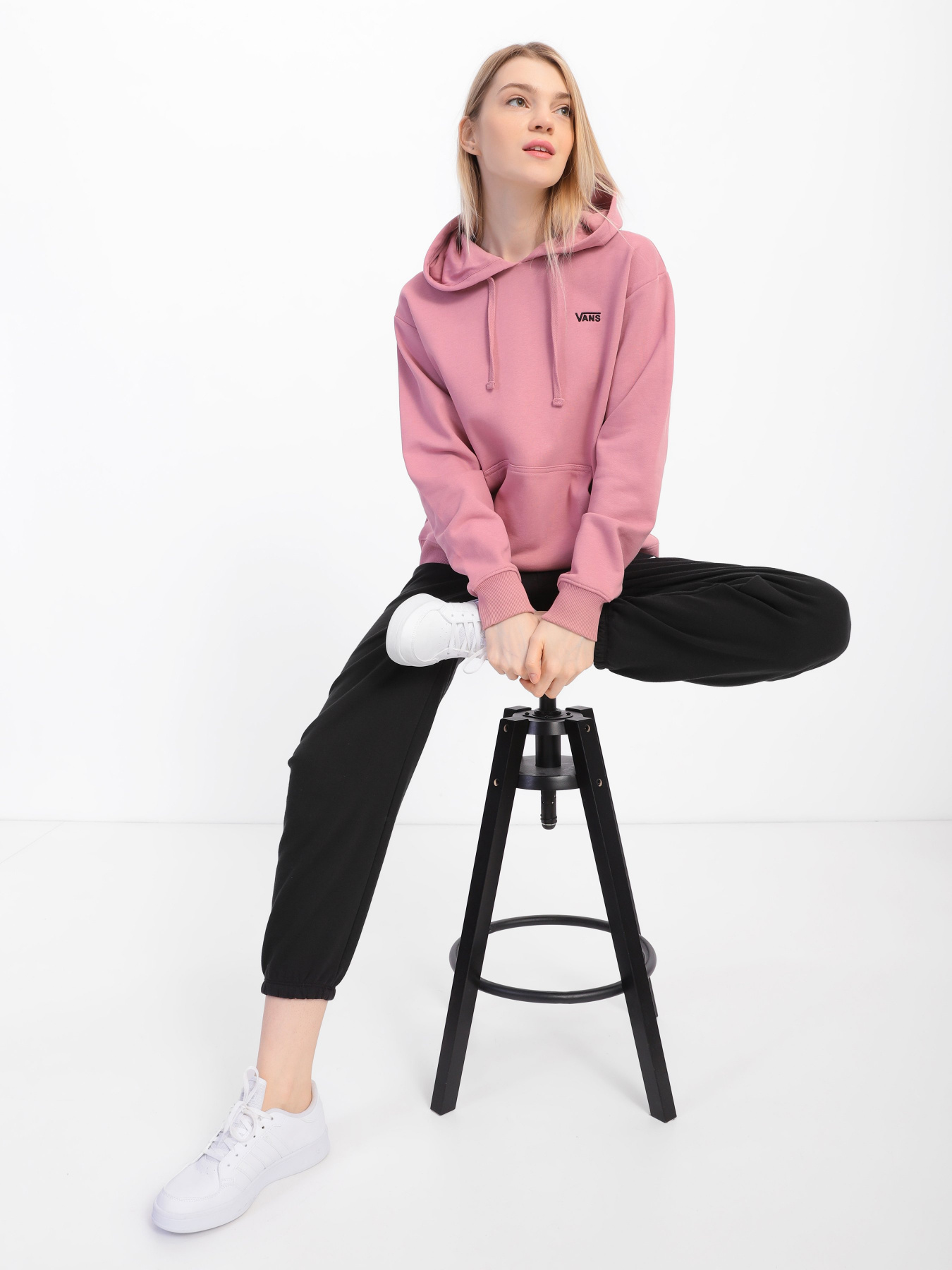 Худи и свитшоты Vans Flying V Bff Ft модель VN0A5AR4BD51 Фото