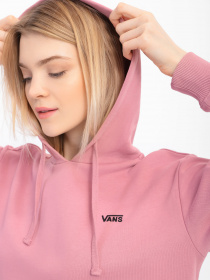 Худи и свитшоты Vans Flying V Bff Ft модель VN0A5AR4BD51 Фото