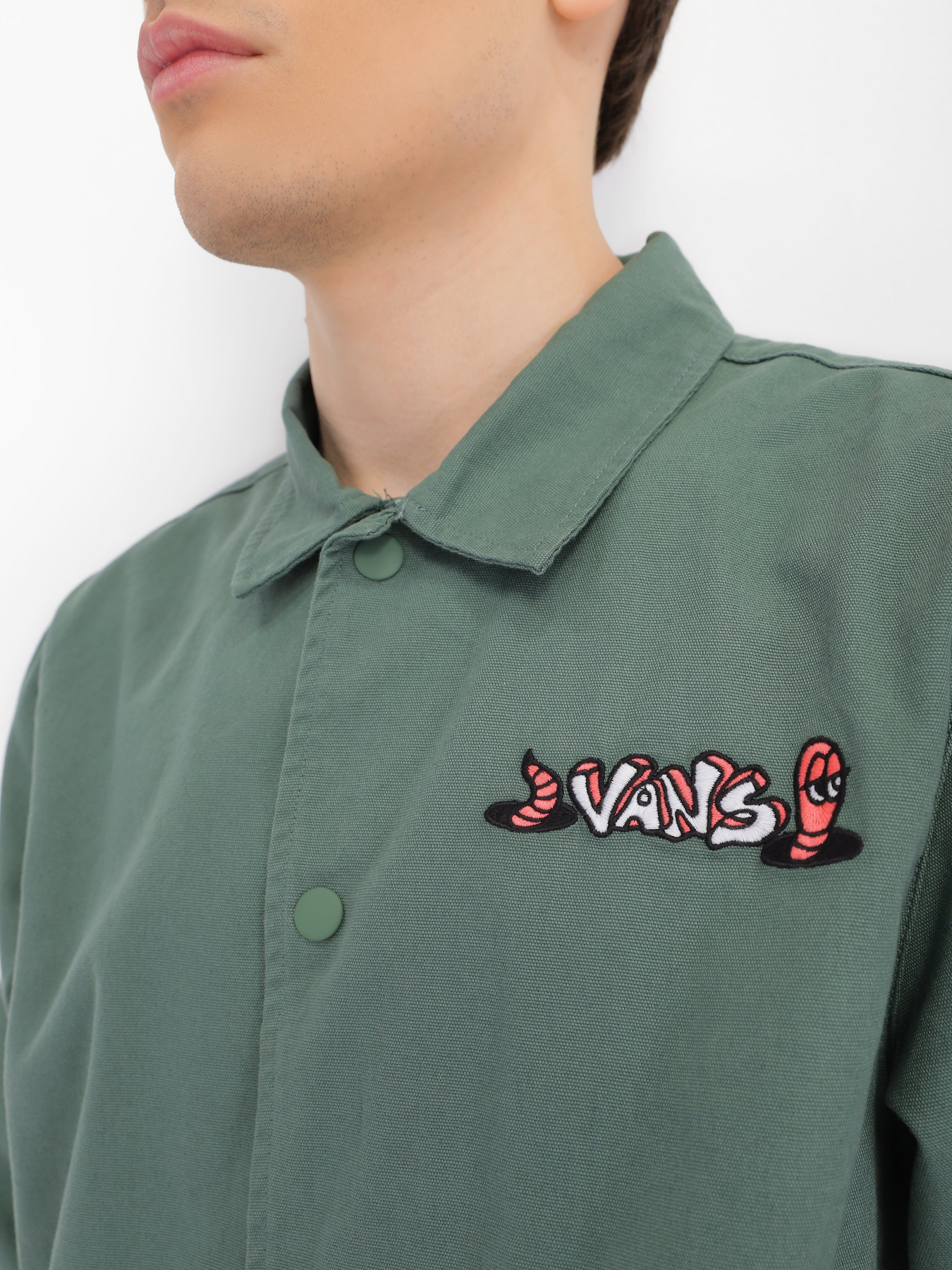 Куртки и дубленки Vans Torrey Skate модель VN0A5FPQYQW1 Куртки и дубленки Vans Torrey Skate модель VN0A5FPQYQW1 Фото