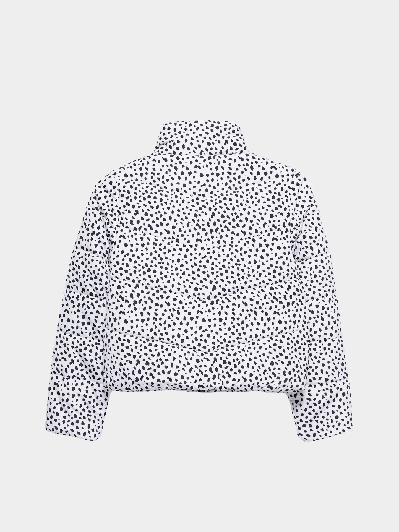 Куртки и дубленки Vans Foundry Puffer Print MTE модель VN0A7YVRY281 Куртки и дубленки Vans Foundry Puffer Print MTE модель VN0A7YVRY281 Фото