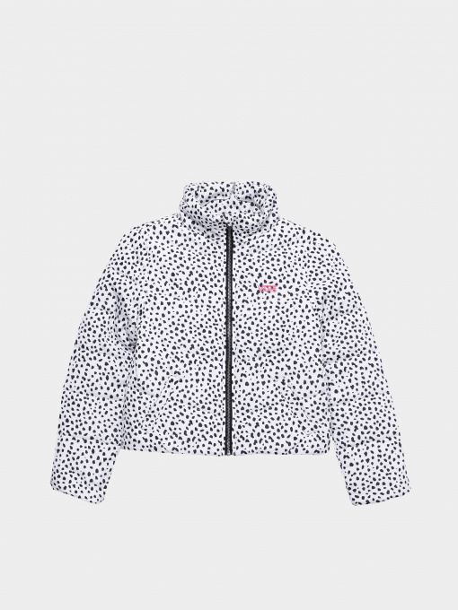 Куртки и дубленки Vans Foundry Puffer Print MTE модель VN0A7YVRY281 Фото
