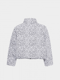 Куртки и дубленки Vans Foundry Puffer Print MTE модель VN0A7YVRY281 Фото