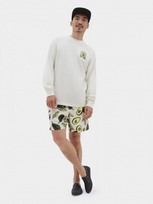 Одежда для пляжа Vans Primary Print Elastic модель VN0008KUZHJ1 Фото