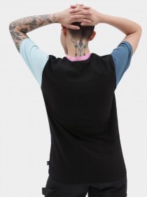 Футболки і поло Vans Left Chest Colorblock модель VN0A7RSQBR51 Фото