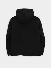 Худі та світшоти Vans Drop V Logo модель VN0A5HNPBLK1 Фото