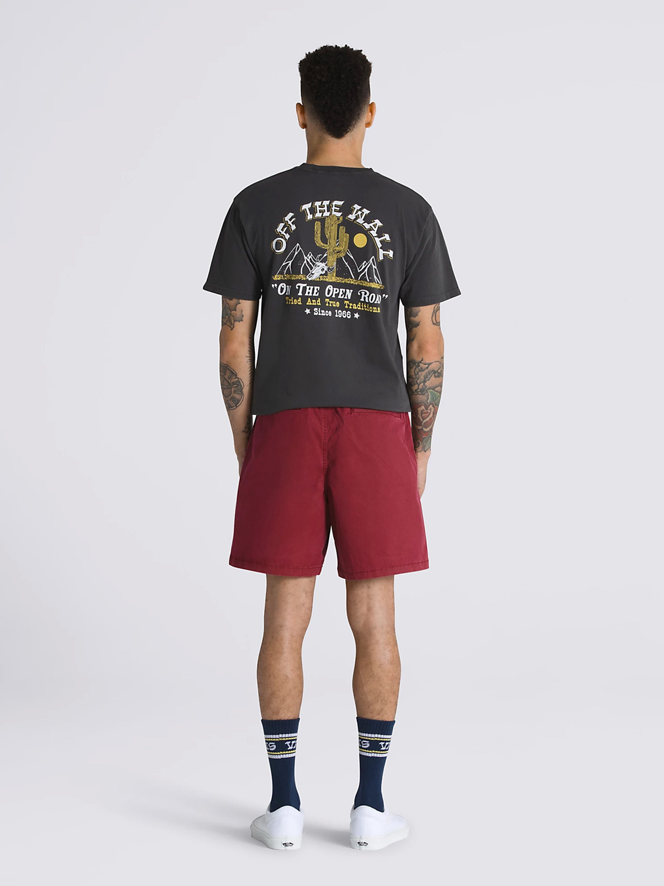 Шорти Vans Range Salt Wash Relaxed Elastic модель VN0A5FKCBQS1 Фото