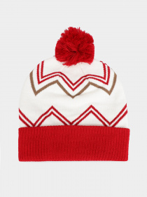 Шапки та кепки Vans Off Wall Pom Beanie модель VN0A2YR714A1 Фото