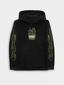 Худи и свитшоты Vans Neon Flames модель VN00087QBLK1 Фото
