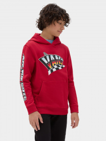 Худи и свитшоты Vans Hole Shot модель VN00087W14A1 Фото