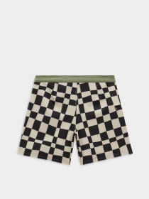 Шорты Vans The Daily Check 17 модель VN0007XSZO21 Фото