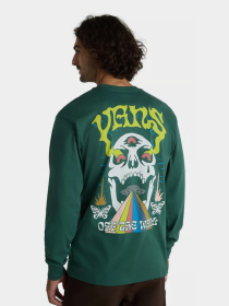 Худи и свитшоты Vans Skull Saucer Ls модель VN000G4CBDX1 Фото