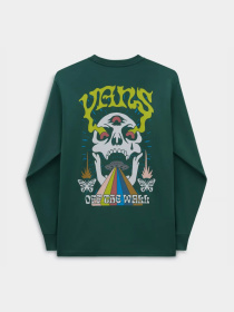 Худи и свитшоты Vans Skull Saucer Ls модель VN000G4CBDX1 Фото