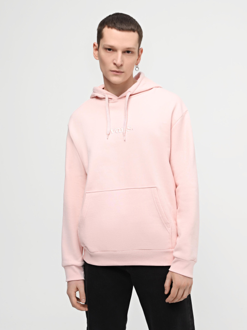 Худі та світшоти Vans Essential Relaxed модель VN000H8ZCHN1 Фото
