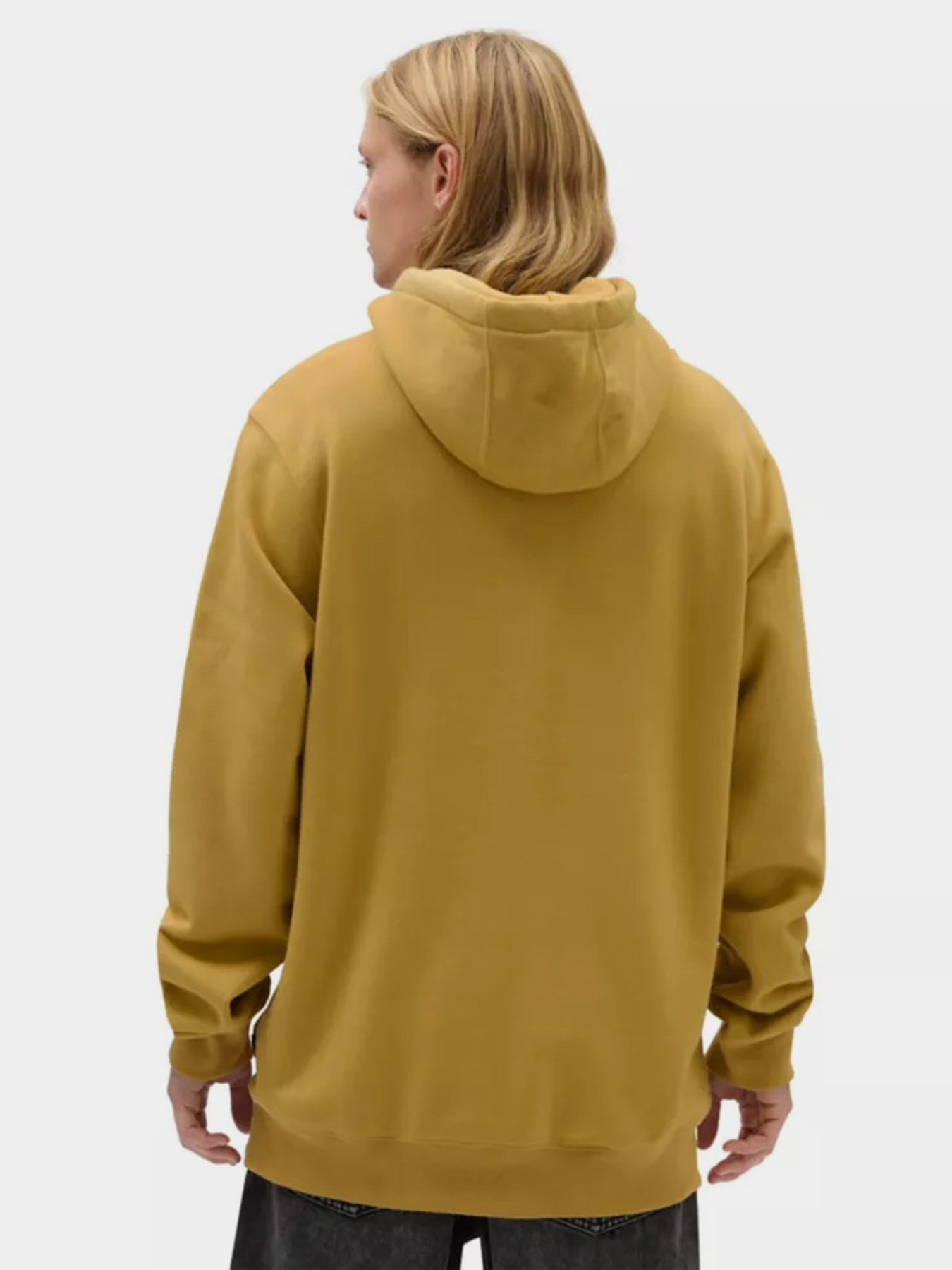 Худи и свитшоты Vans Arched Po модель VN000G0N5QJ1 Фото