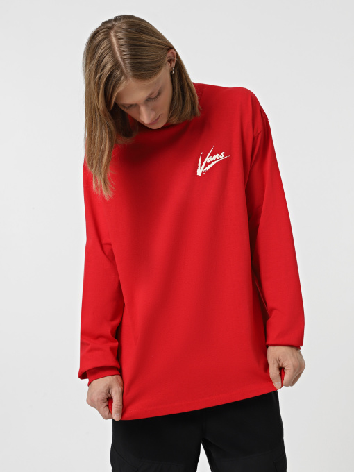 Худи и свитшоты Vans Dettori Loose Fit модель VN000K6ZBOP1 Фото