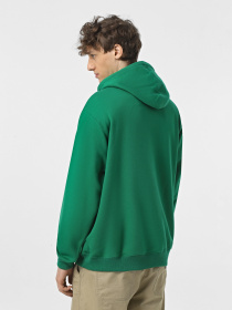 Худі та світшоти Vans Loose модель VN000HPPJ5F1 Фото