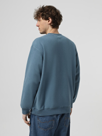 Худі та світшоти Vans Carlo Polar Fleece Loose Crew модель VN000HPSJCN1 Фото