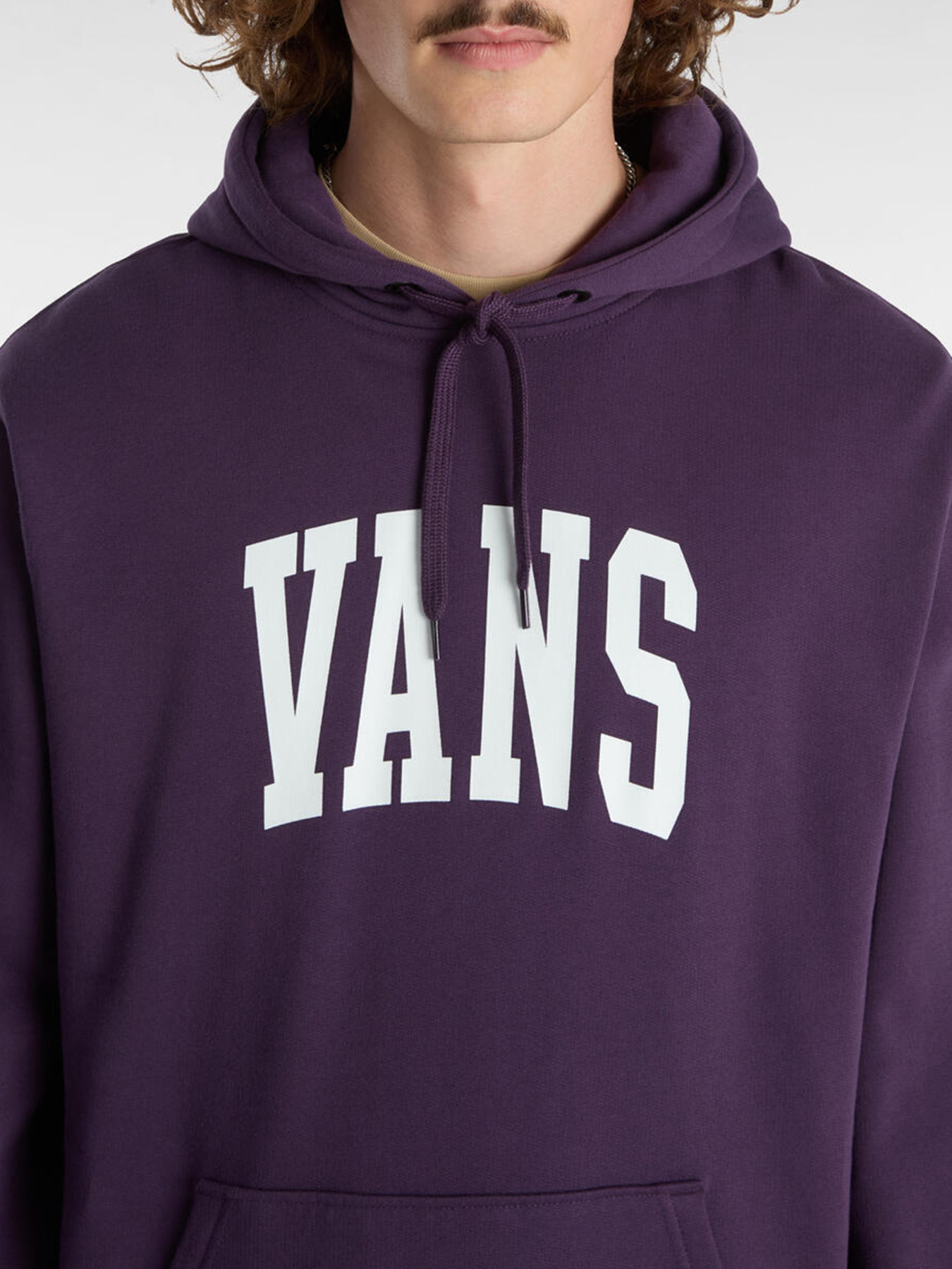 Худі та світшоти Vans Arched модель VN000HNW11E1 Фото
