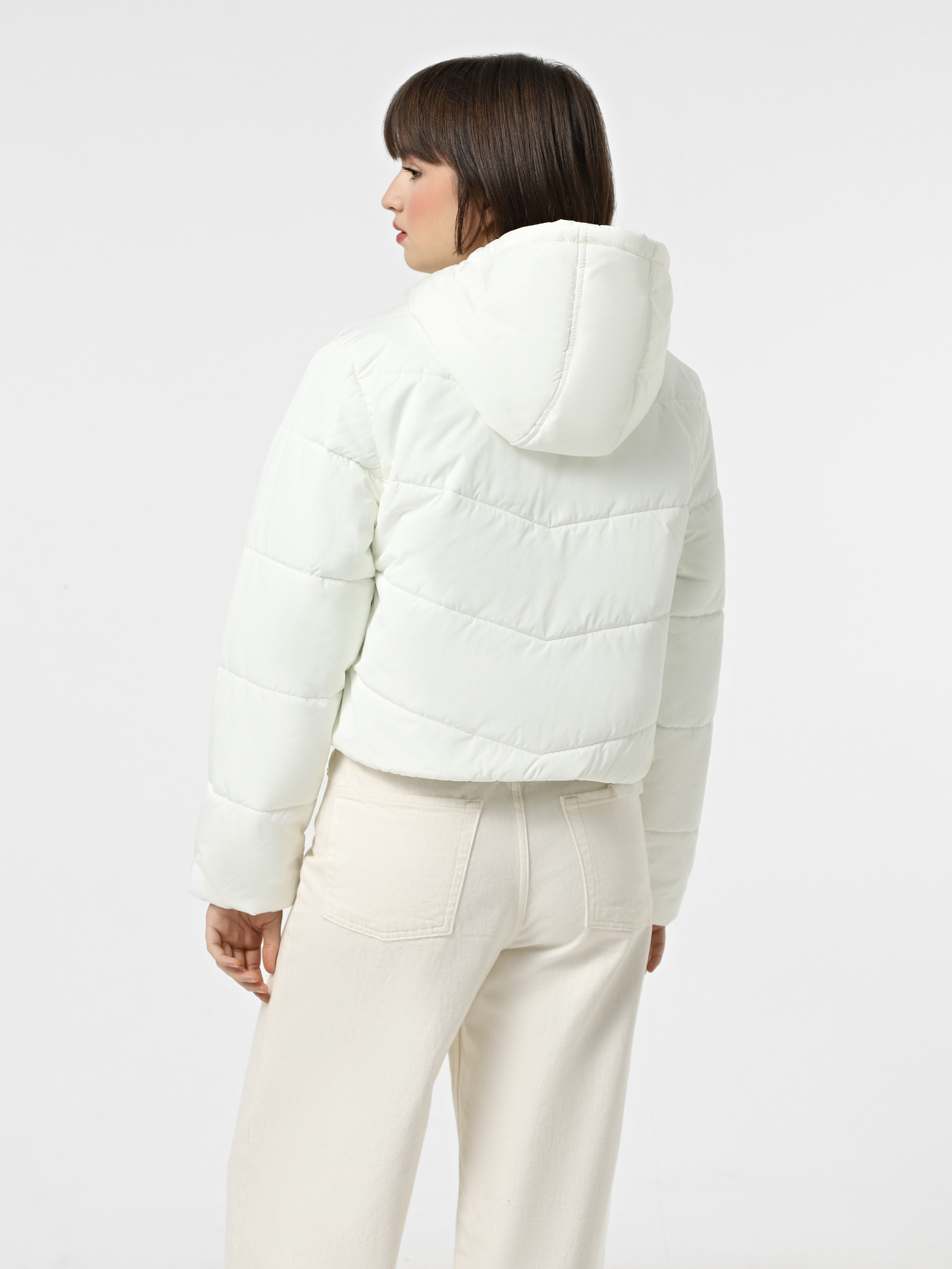 Куртки и дубленки Vans Foundry Crop Puff Hood модель VN000H5EFS81 Куртки и дубленки Vans Foundry Crop Puff Hood модель VN000H5EFS81 Фото