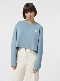 Худі та світшоти Vans Oval Wash Relax Crop модель VN000HJ5JCN1 Фото