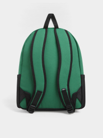 Рюкзаки Vans Old Skool 22L модель VN000H4WJ5F1 Фото
